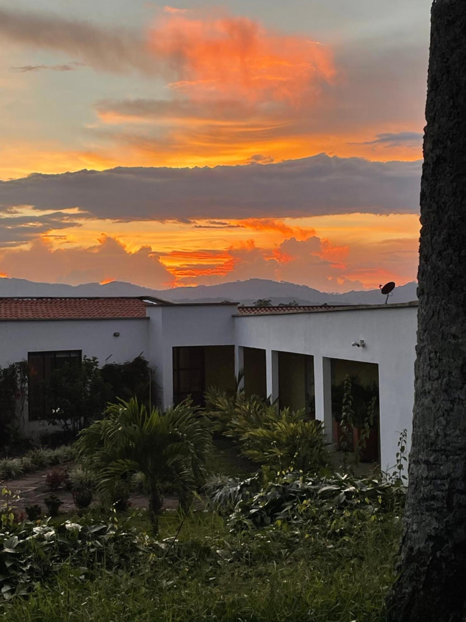 Hotel Boutique La Ceiba Quimbaya Exteriér fotografie